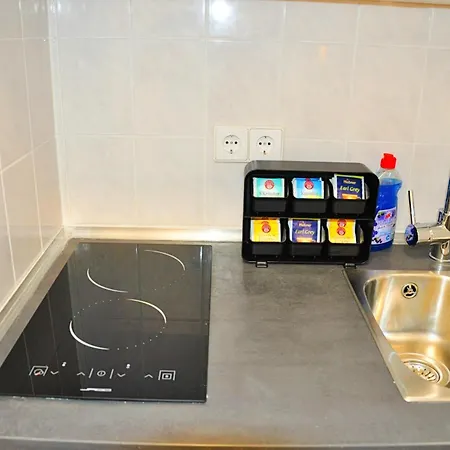 Lägenhet Business Appartement-schlossgartennahe *